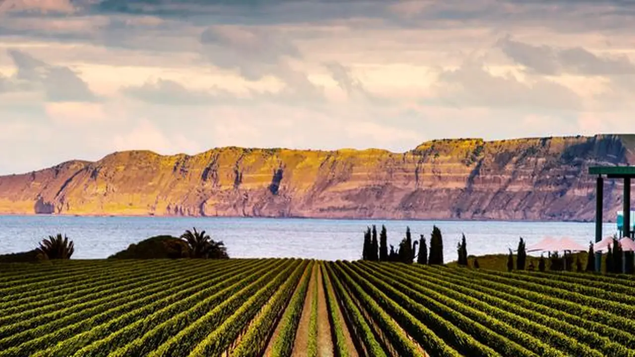 Exploring New Zealand's Wine Regions Top 5 Vineyards